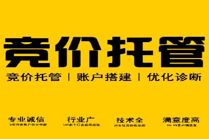 百度竞价SEM的秘密武器：案例背后的策略分析